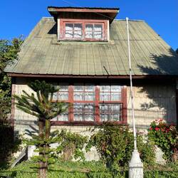 Ein sooooo schönes Häuschen mit einem Araucaria-Baum im Vorgarten.