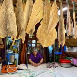 Getrockneter Fisch hängt oben.