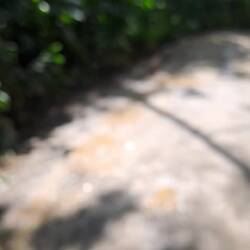 Mit dem Jeep zurück