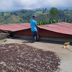 Da es täglich regnet kann das Dach zum Schutz darüber gezogen werden