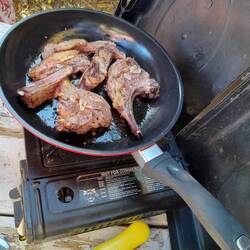 Lammkottlett zur Stärkung danach