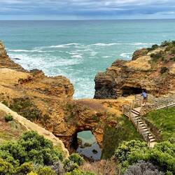 Wolf blickt über The Grotto