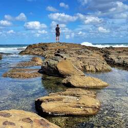 Wolf klettert entlang der Steine