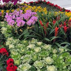 Typical perfect garden. Those are real! And they're spectacular!