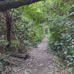 machmal war der Weg so, meist aber eher steinig