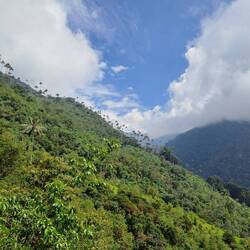 Auf dem Weg nach unten