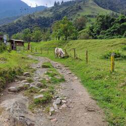 Sanfter Start des Hikes