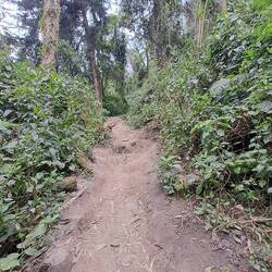 Oder so... zum Glück hatten wir kein Regen, das wäre mühsam gewesen 🙈