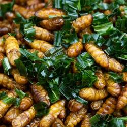 So habe ich sie in Laos schon mehrmals genossen - lecker!