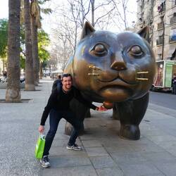 Un gros chat (à droite)