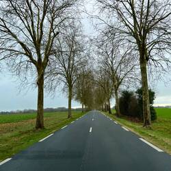 The Road To Le Dorât