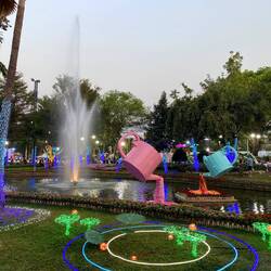 Chiang Mai Flower Festival