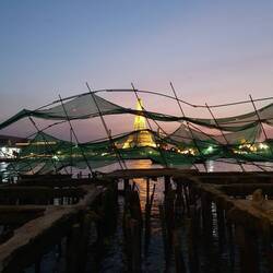 Wat Arun gefangen im Netz