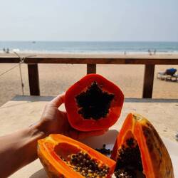 Papaya am Strand