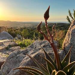 Ausblick Stazzu Giasti