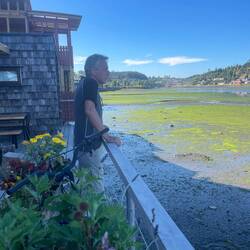 Blick von der Terrasse eines Lokals auf den Meeresarm (bei Ebbe)
