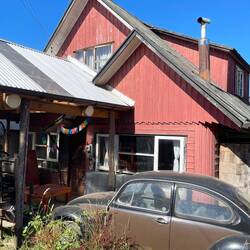 Der VW Käfer im Vorgarten, mitten im Gestrüpp