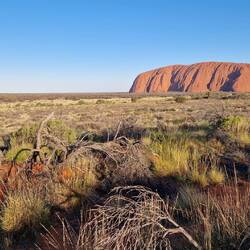 Wir mit Uluru