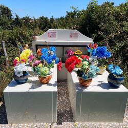 Friedhfl in Puqueldon