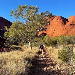 Wanderung durch die roten Felsen
