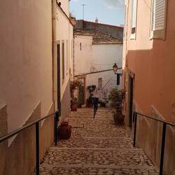 ...zum Garten in Estoi