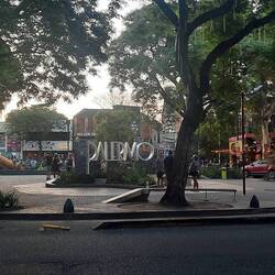 Der härzig Stadtteil Palermo