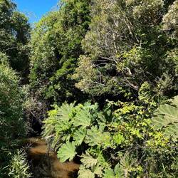 Viel Grün, viel Wasser, angenehme Temperatur, 22 Grad