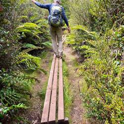Wir balancieren durch den Dschungel.