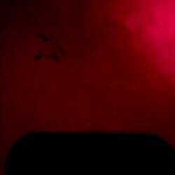 byebye, be wild and free in the ocean 🌊