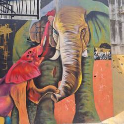 Elefanten als Zeichen für Stärke, Familie und Intelligenz