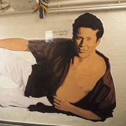 David Hasselhoff Museum.
