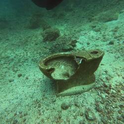 Das stille Örtchen 🚽