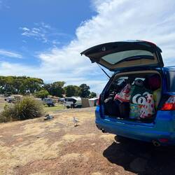 Neue Ordnung im überfüllten Kofferrraum