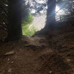 Kurzer Wandertrip - skyline view.