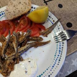 Endlich haben wir Mal wieder kleine Fische ergattert