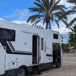 Wir stehen unter Palmen