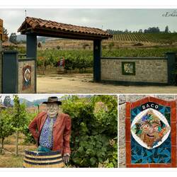 Entrance to the vineyard and tasting rooms ... Casa Marin — Lo Abarca, Chile.