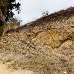 The crumbly top soil allows the vine roots to reach deep ... Casa Marin — Lo Abarca, Chile.
