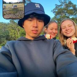 (Unser Ausblick auf die Alpakas oben in der Ecke)