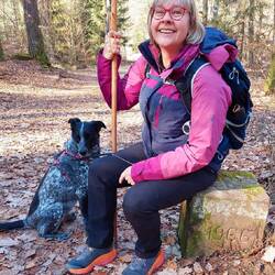 Zwei von den drei sind von 1966!