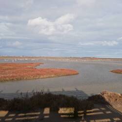 Parc national et des flamants roses