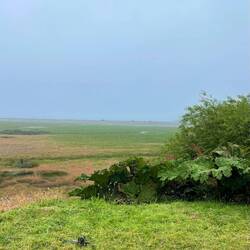 Wolken und Meer sind eins.