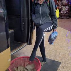 Finke für ide Raststätt, im Bus ide Socke