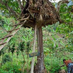 Die Honey Mooners Lodge