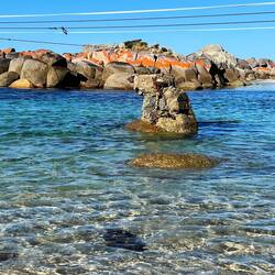 Kleines Highlight: der Koalafelsen