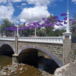 Puente Mariano Moreno.