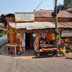 Wunderschöne plumen