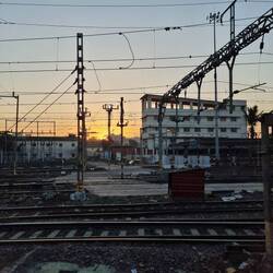 Die frühen Vögel...