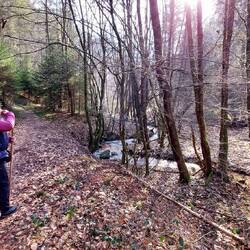 Wunderbarer Singletrail parallel zu einem Bächlein!
