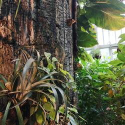So much nature in the city